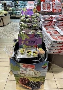 オーストラリア産ぶどうが過去最高の輸入量で日本上陸！