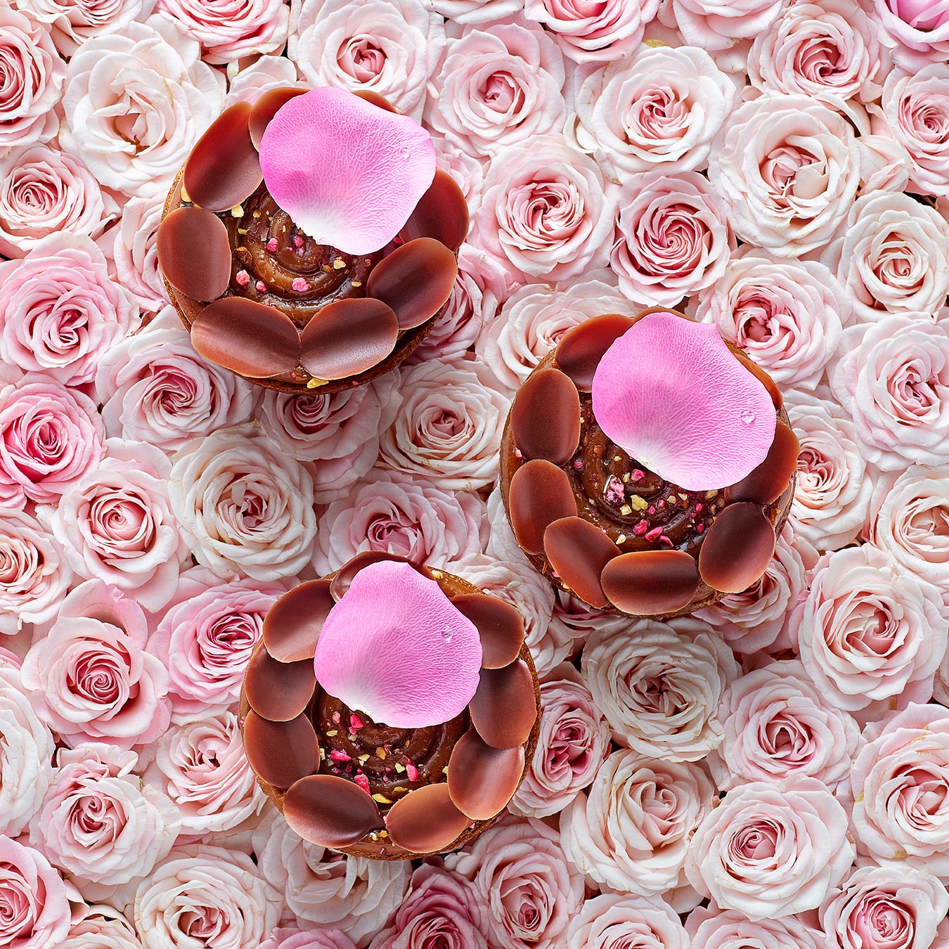 【ピエール・エルメ・パリ】直営ブティック 「ピエール・エルメ・パリ 日本橋高島屋S.C.」オープン