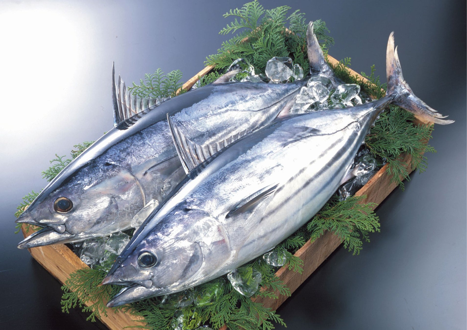 全国4万5千人調査で判明！土佐久礼(高知県中土佐町)が、“かつお愛“日本一の町に！