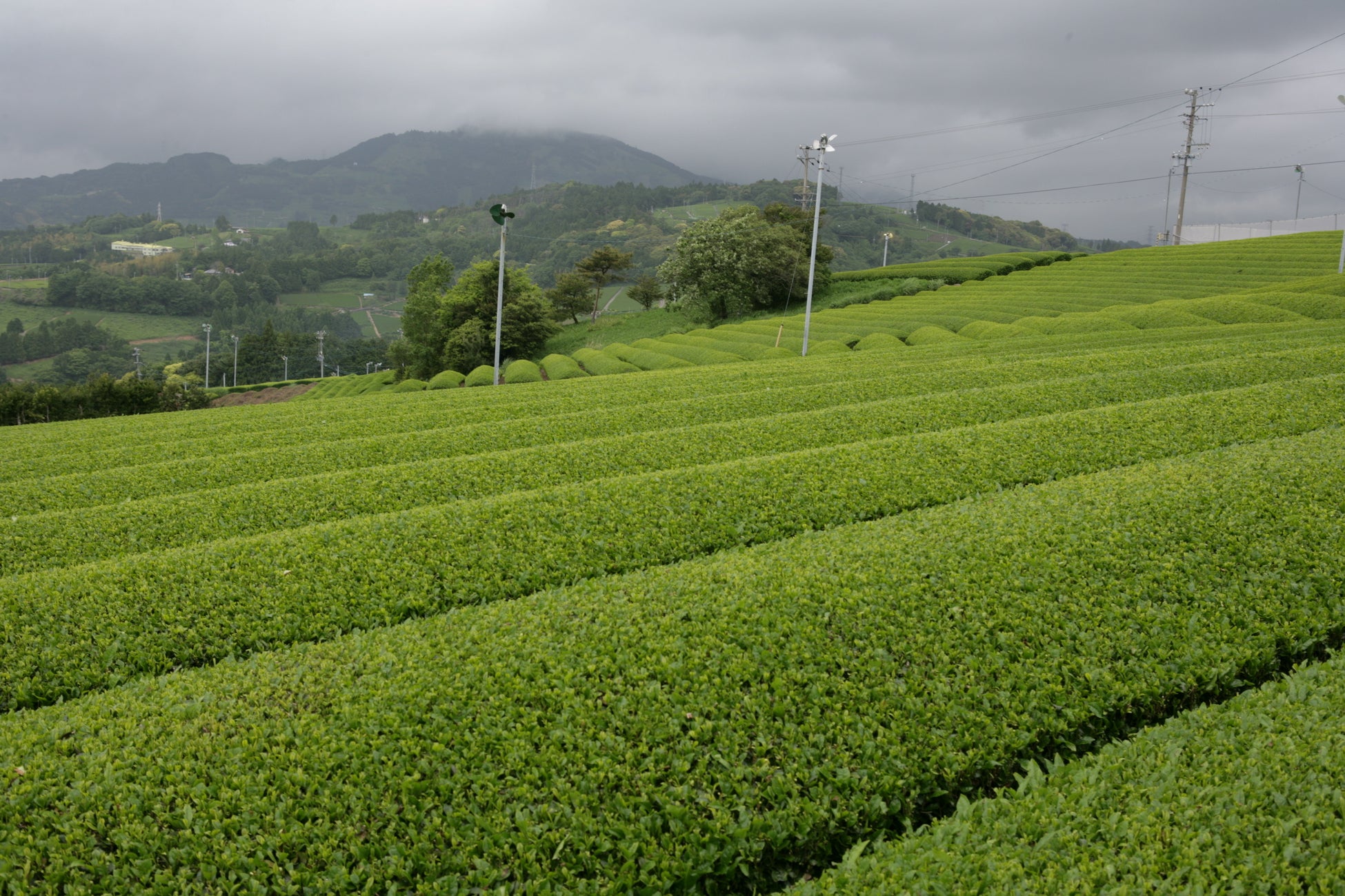 【豪華海外バーテンダーによる特別カクテルも】ペリエ、パラゴン、プラントレイラムが合同ブースで東京 インターナショナル バーショー 2026に出展します