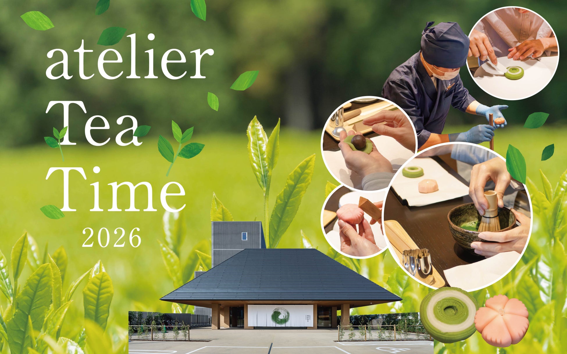 【発売30周年記念】『トップメーカーだから知っている永久保存版 豆苗完全攻略本』　4月30日に発売