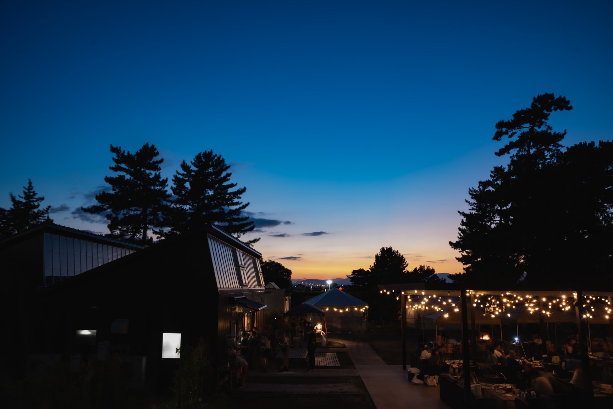 【愛知県一宮市】GWの夜を、ただのBBQで終わらせない。焚き火も薪割りも楽しむ特別アウトドア体験｜ウッドデザインパークいちのみや-紡-