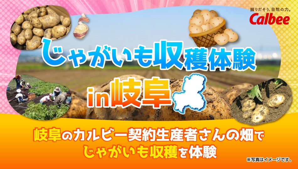 75周年を迎えたミルキーがスイーツに大変身！ 不二家のミルキー75周年！ ミルキーの優しい甘さを楽しむ新作スイーツが登場