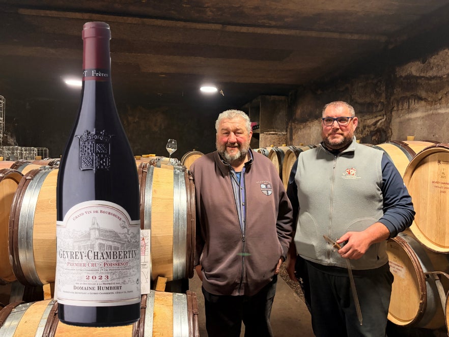 【香川から世界へ】伝統工芸品「讃岐かがり手まり」が至高のスイーツに。菓子工房ルーヴ、1日10個限定の「苺てまり」を発売