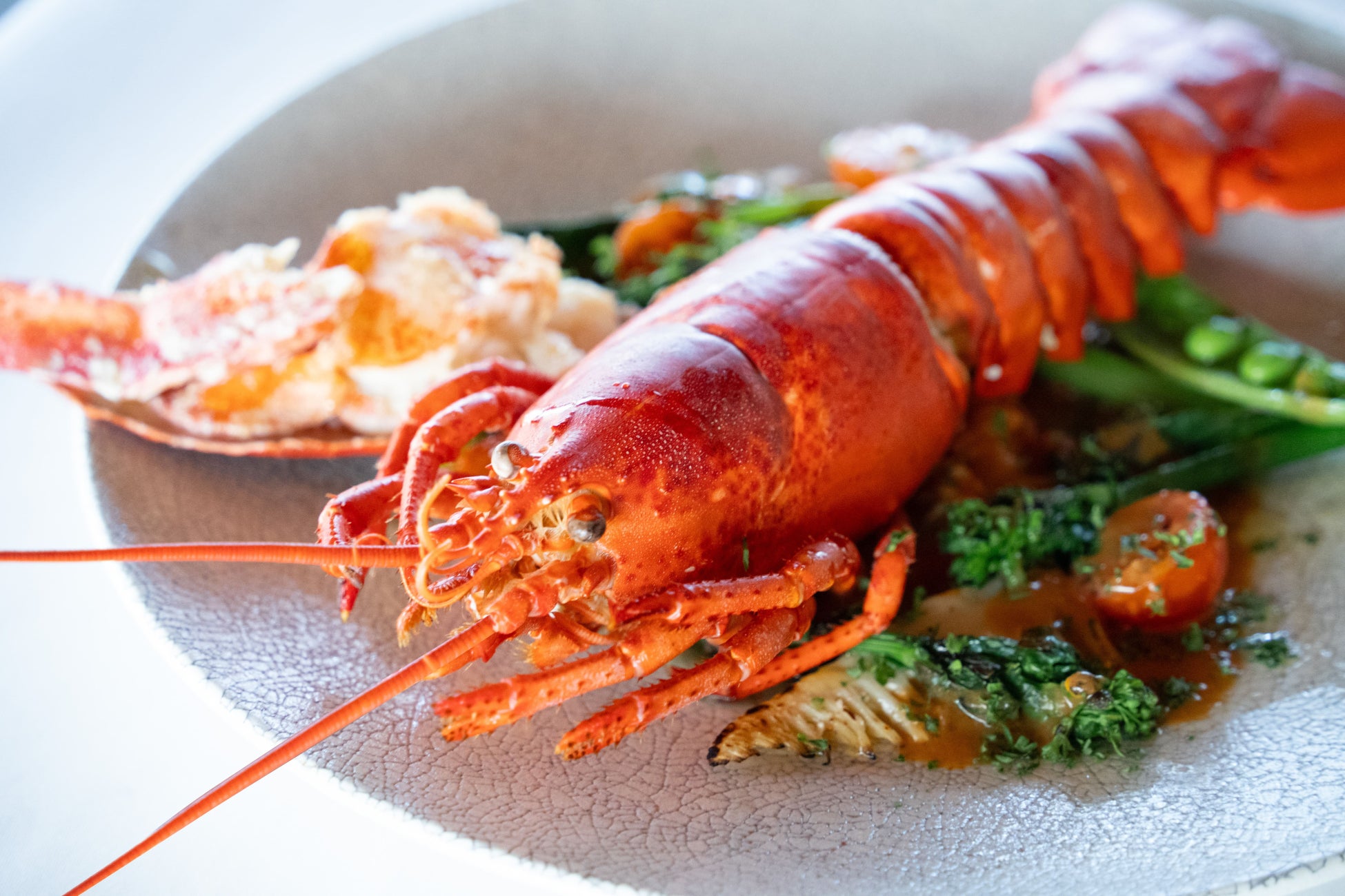 ゴールデンウィーク限定メニューが登場！～地中海へ食の旅をしよう～