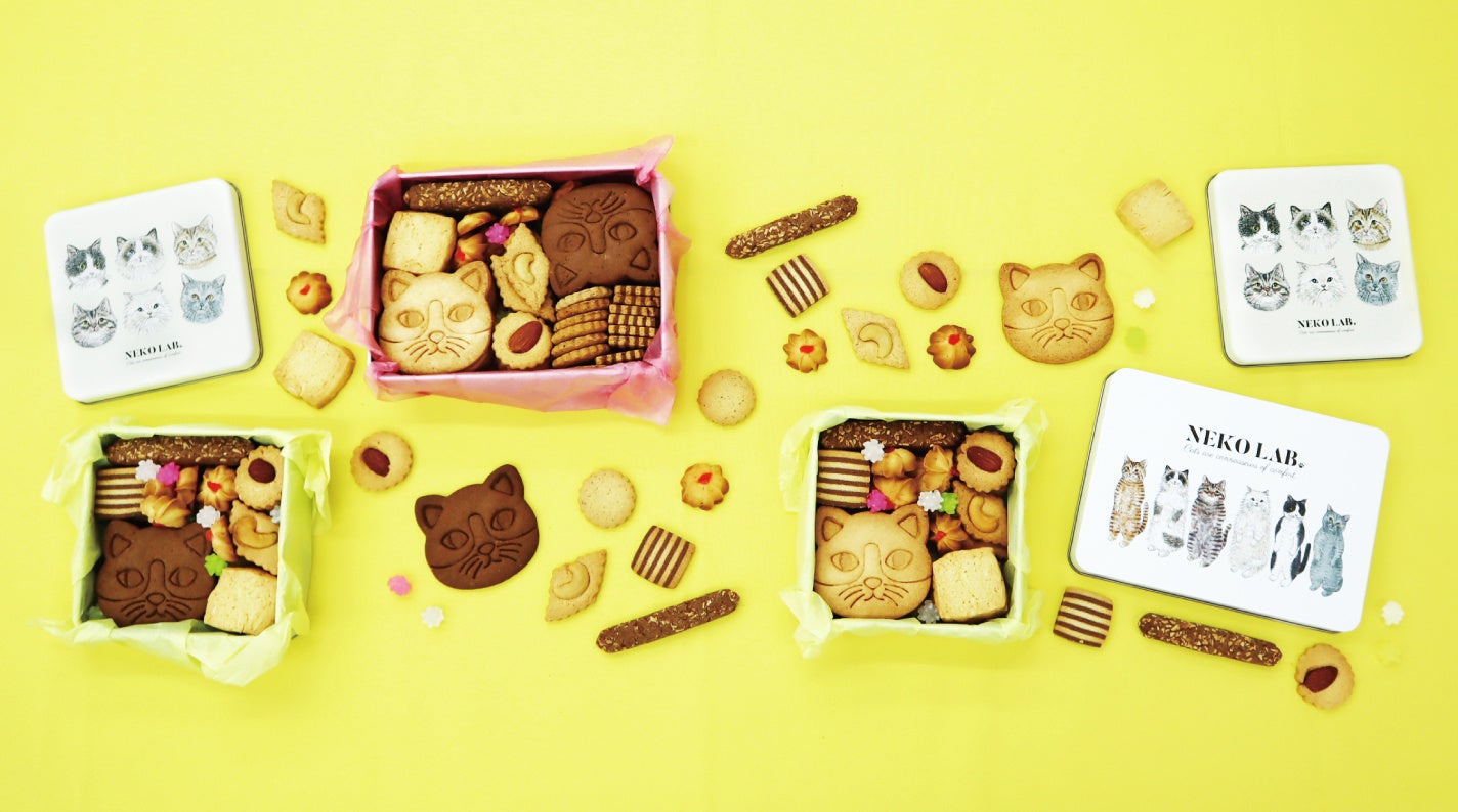 5月も全国各地へ。【NEKO LAB】5月催事出店スケジュールのお知らせ