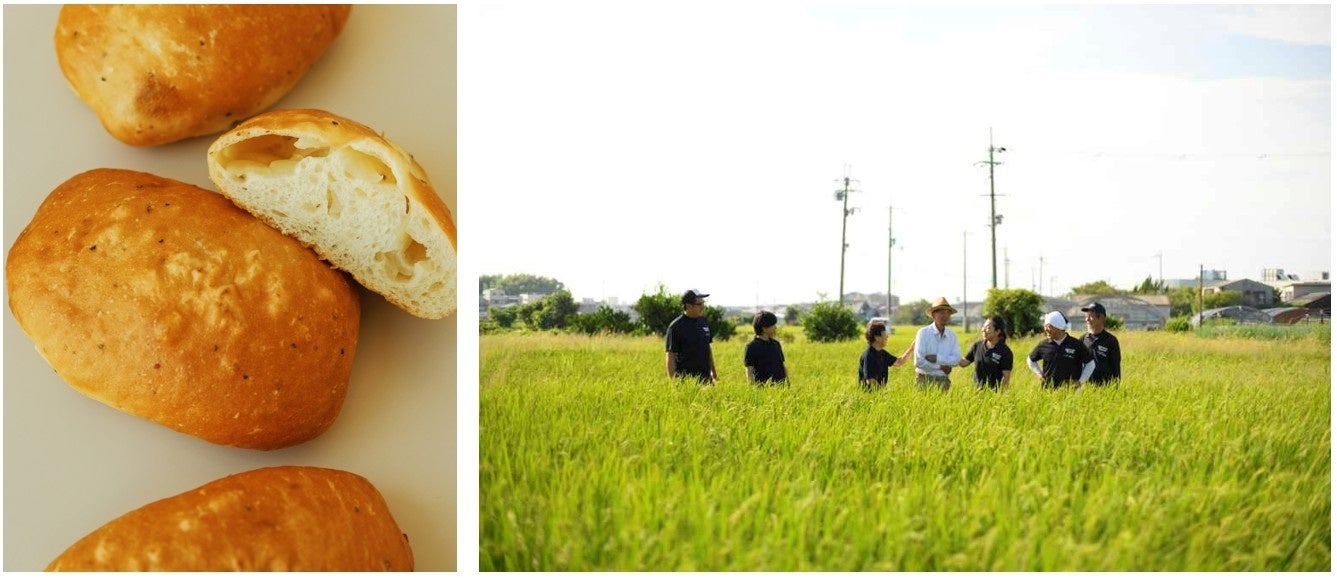 日本のタマネギの祖先・なにわの伝統野菜“泉州黄たまねぎ”の甘みを味わう「甘み引き立つ泉州黄玉ねぎパン」が今年も登場！江戸時代から続く三浦農園の伝統野菜をパンで届ける 5月1日発売