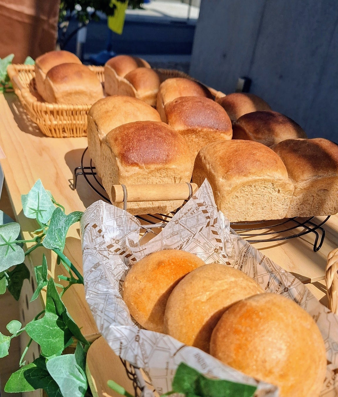 30分で完売！世田谷の住宅街に「全粒粉100％パン」を求める行列。4月は30分で完売。5/10(日)究極のタイパ朝食を目指し「焼く前の冷凍生地」を先行販売