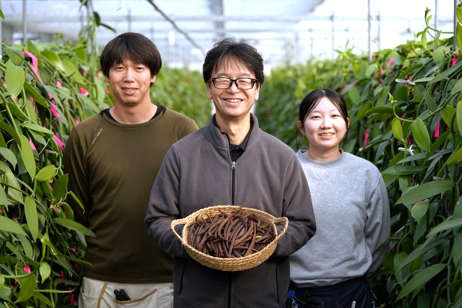 【日本初※1】フレーバリストが育てる国産バニラ、本格始動