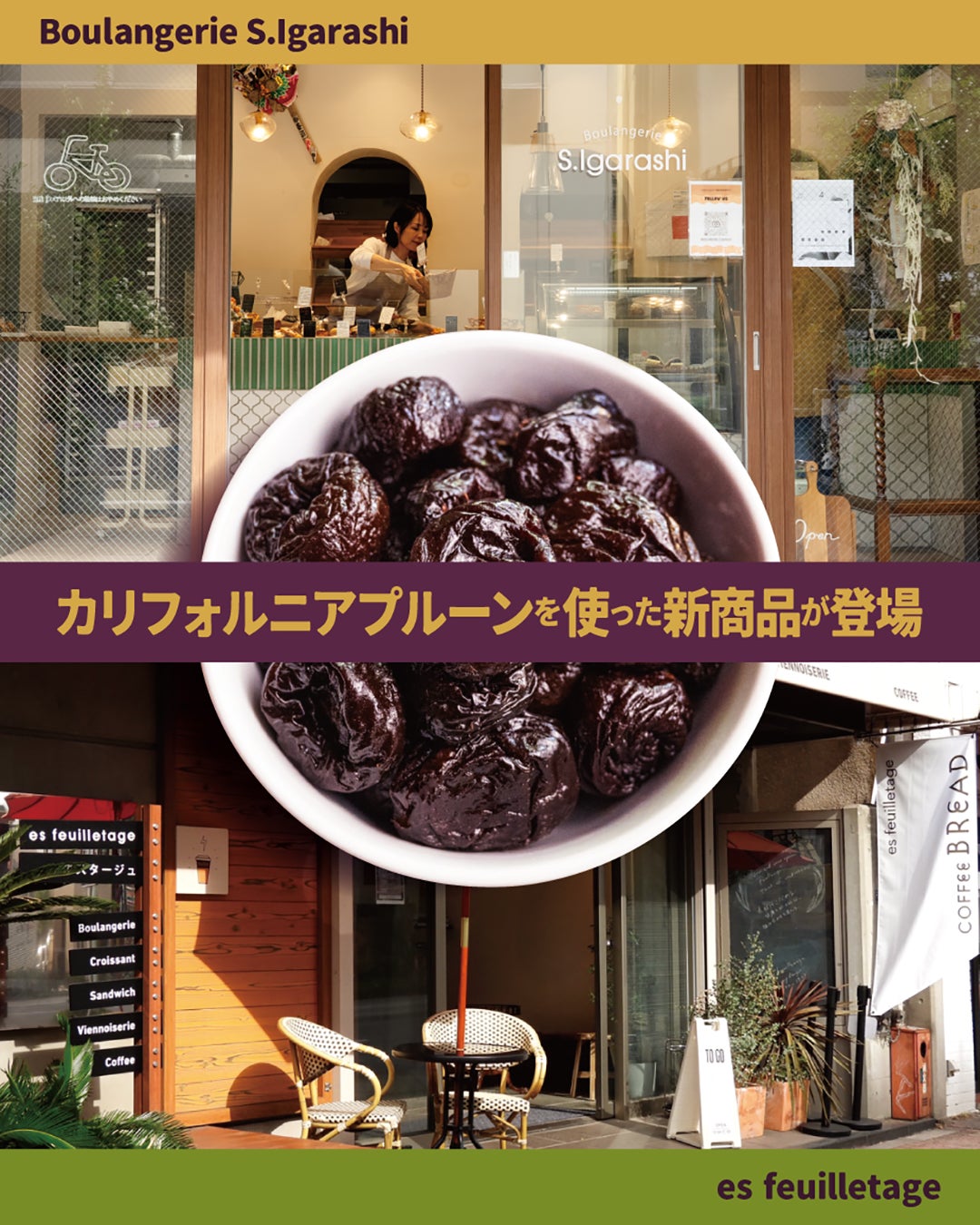 モンスターエナジーDAY｜福岡ソフトバンクホークスみずほPayPayドームにミニボールパークが出現