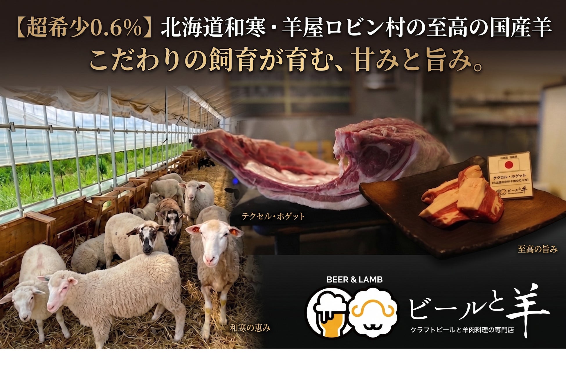 【国内自給率0.6％の衝撃】北海道・和寒町が誇る“奇跡の羊”が大阪へ。