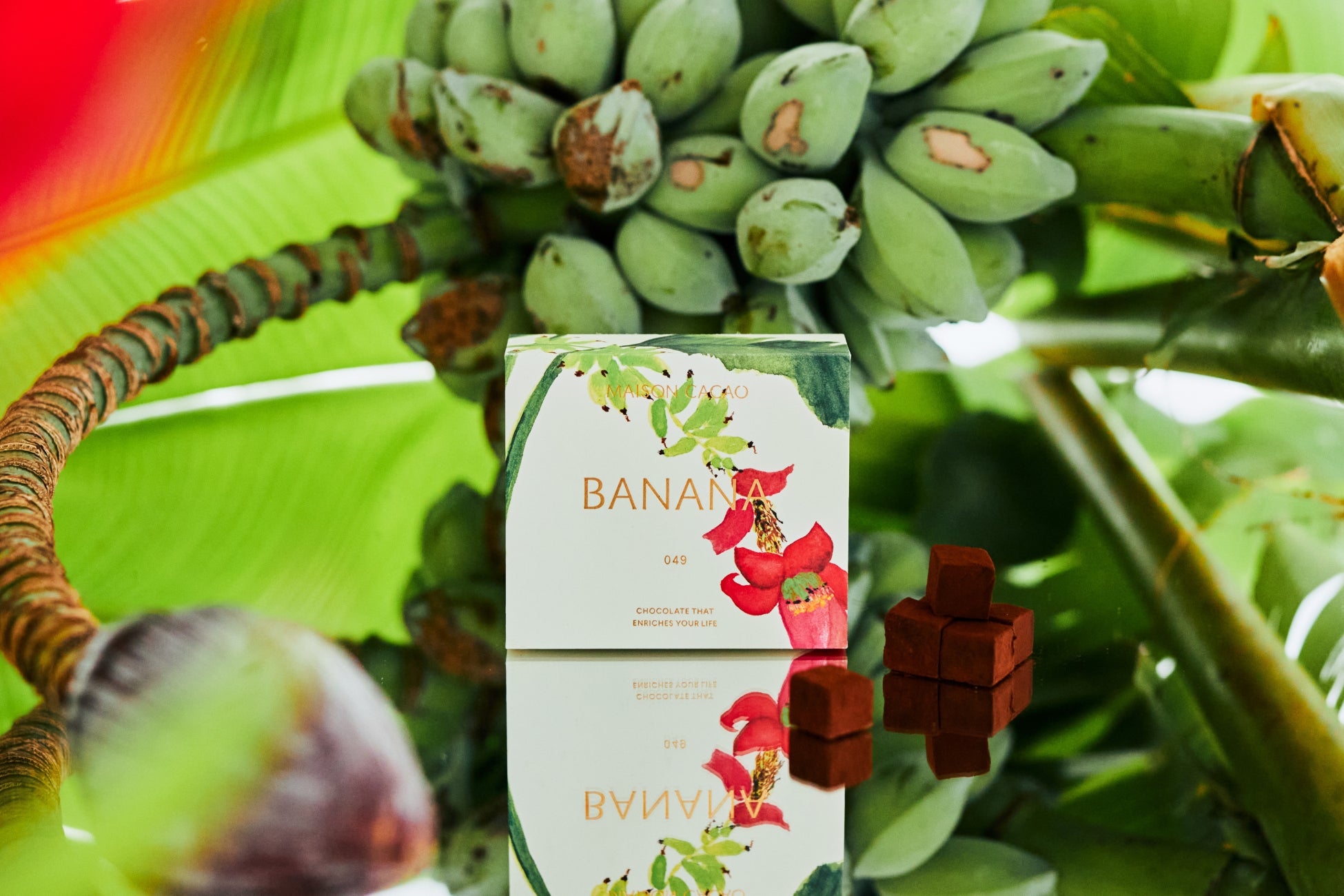 アスター 沖縄やんばるパインのチューハイ　５月２６日 数量限定 新発売