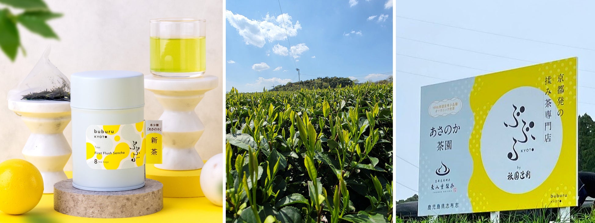 ”今だけ、ここだけ”で味わえる、希少種「あさのか」新茶が登場！