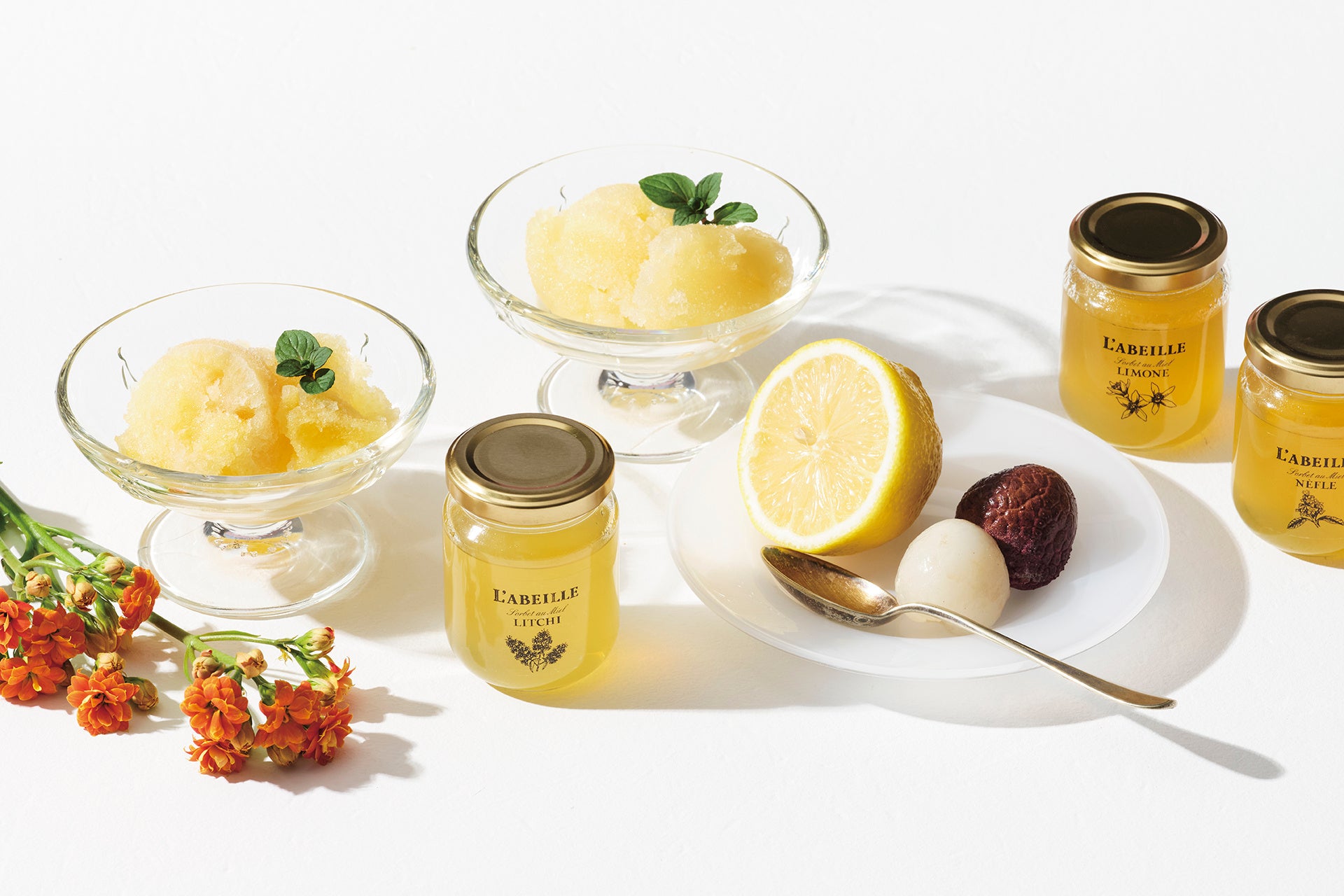 【ラベイユ】夏季限定！はちみつの個性を味わう、贅沢なひんやりスイーツ「はちみつソルベ」登場