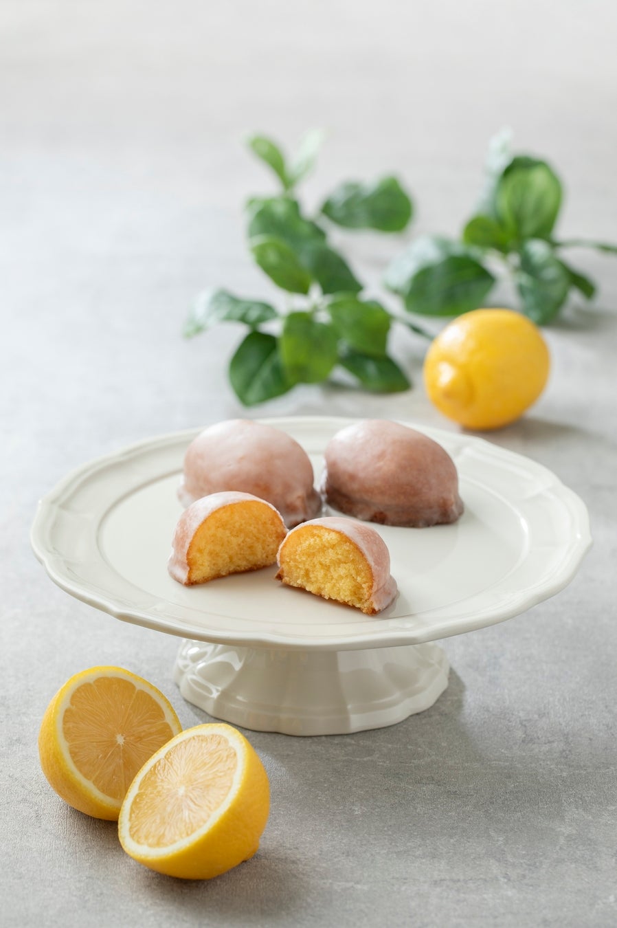 初夏のレモン祭り開催🍋1周年記念のショップにもご注目！