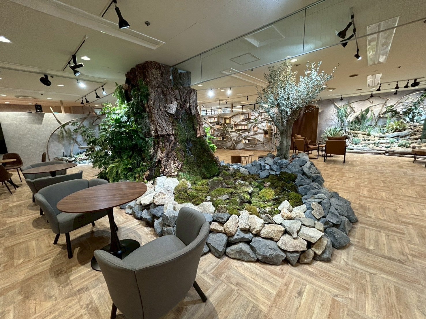 【豊田市駅前】東海地区 屋内型最大級 図書館＋ボタニカルカフェ「café Earth+h.l」が6月1日OPEN。