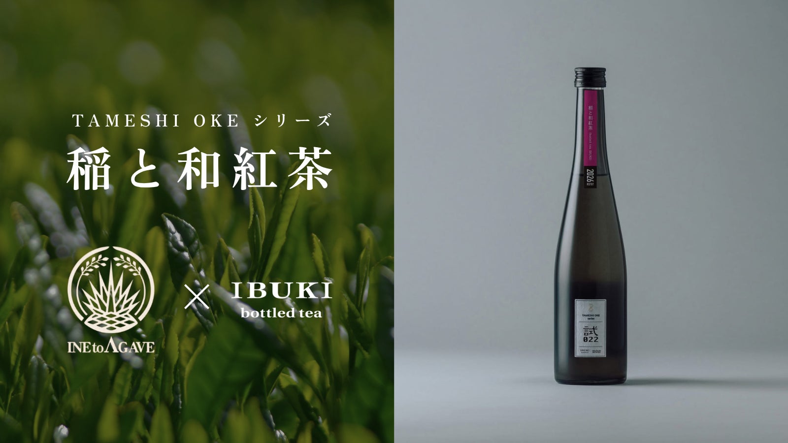稲とアガベが、最高級ボトリングティーブランド「IBUKI」の和紅茶茶葉を使用したクラフトサケを新発売