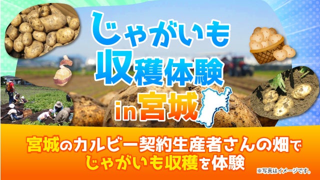 『三ツ矢すっぱいシークヮーサー』6月9日期間限定発売