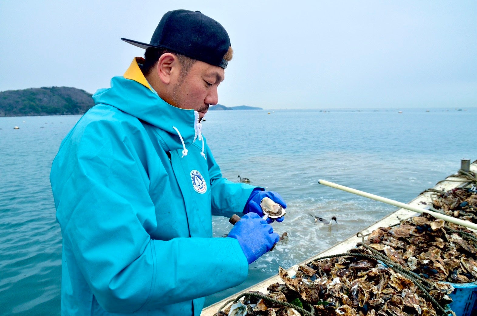牡蠣卸直送の三陸産生牡蠣が１個１００円（税別）