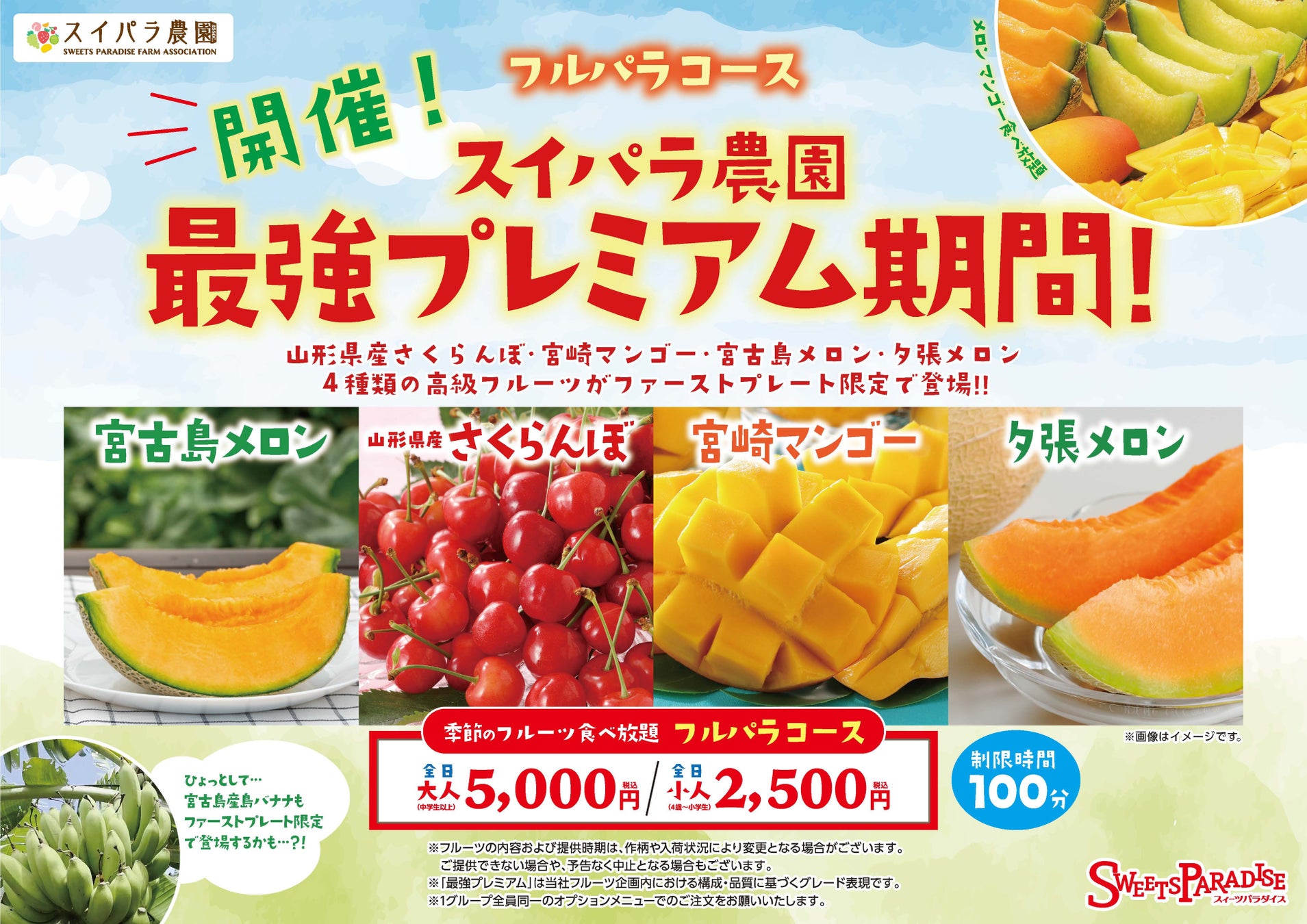 美しい古木の表現を飲む―クロ・デ・フより「イタタ 2023」新発売
