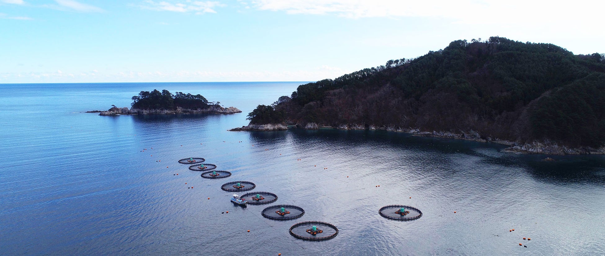 東京・松本湯で“ととのう”コラボ開催!黄桜「ととのいエール」のカッパが館内ジャック