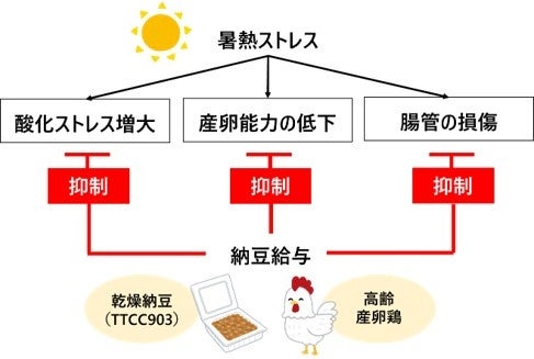 【沖縄県内初※】日本テトラパック、アルミ付き紙容器の回収拠点を拡大 イオン南風原店で実証実験スタート、6月1日より開始