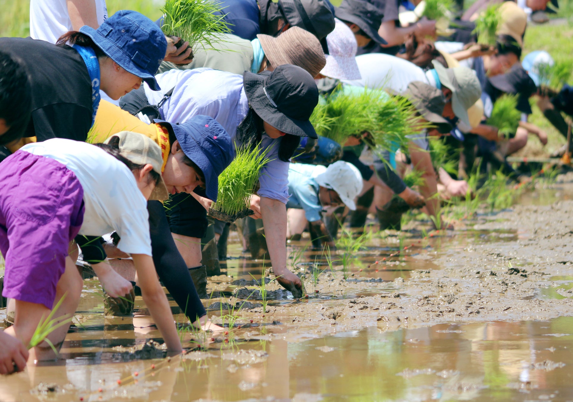 うかい×東京八王子酒造　創業の地八王子で地産の協奏！　　　　　　　　　　　　　　　　　　　　　　　　　　　　　　　　　　～ 東京の地から本物の美味しい感動体験を ～
