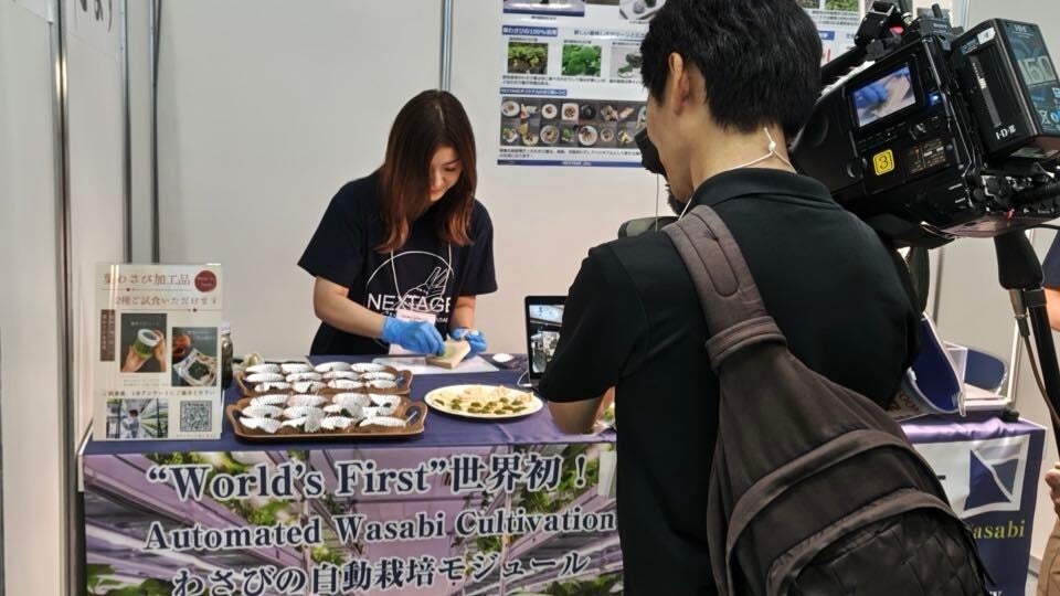 テレビ東京「ワールドビジネスサテライト（WBS）」にて株式会社NEXTAGEの“次世代わさび栽培”が特集されました