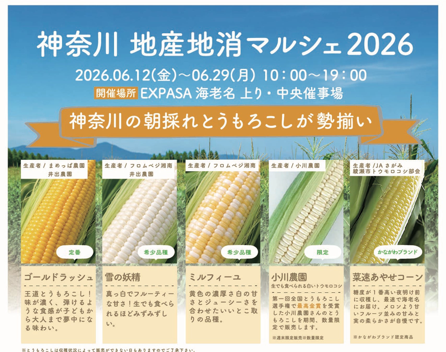 地域の味わいを楽しめる「Jagabee」の新シリーズが登場！　第一弾はしょうゆの甘みと鶏だしのうま味が広がる『Jagabee 九州しょうゆ味』