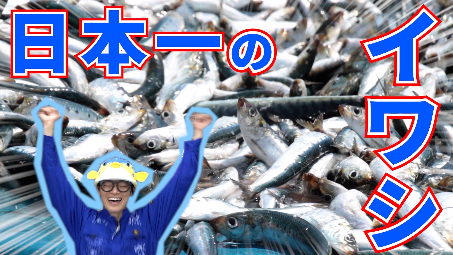 さかなクンも大好きなイワシちゃんの情報満載な「素材市場」YouTubeコラボ動画、6月8日（月）公開
