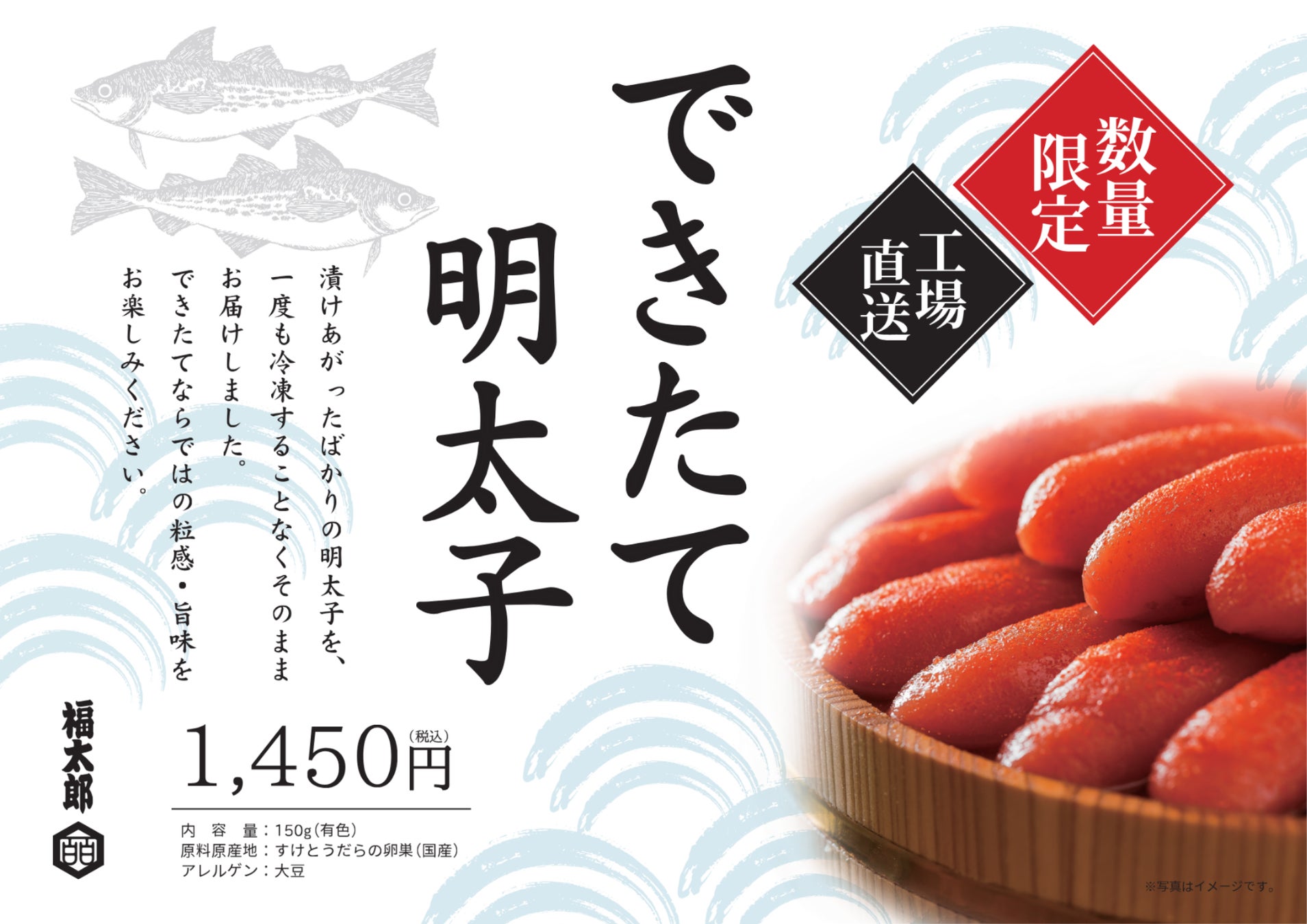 【土曜日限定入荷・博多駅マイング】一度も冷凍しない極上の粒感！老舗メーカー福太郎の「できたて明太子」を6月13日(土)より「まるとめ」で販売開始！