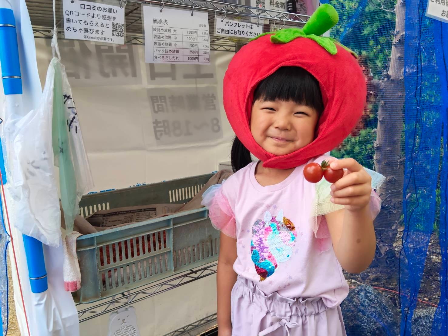 【6月土日限定】特別賞受賞トマトの無人詰め放題 双子トマト探しも