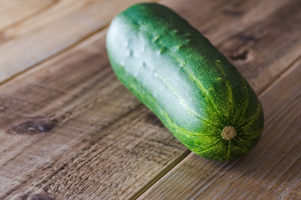伝統の加賀野菜をご自宅で！楽天市場「かいものパレット」にて、みずみずしく肉厚な「加賀太きゅうり」の販売を開始！石川の味覚を全国へお届け