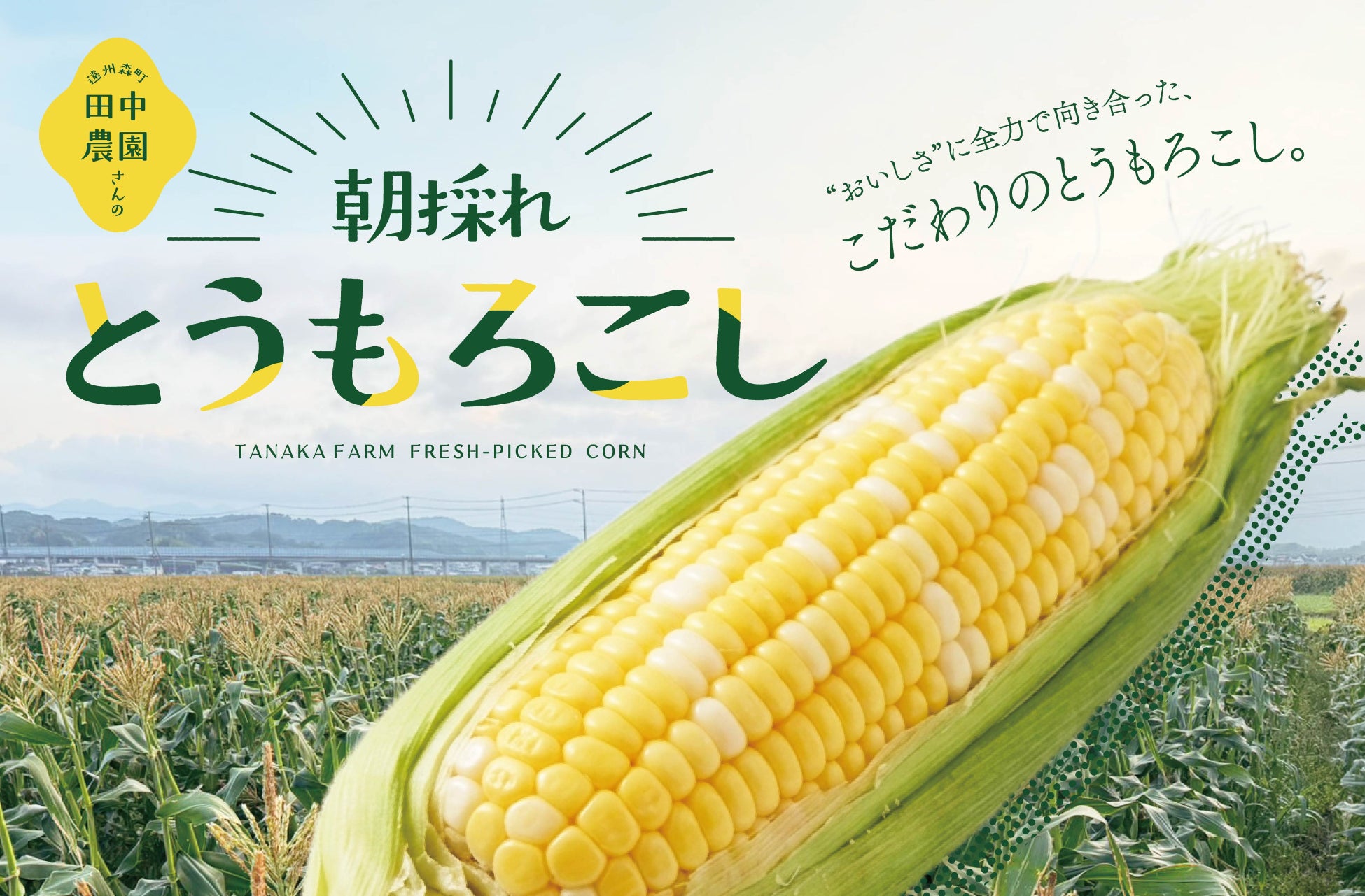 そうめんを「ご馳走感のある一品」にするには器が重要！約40%が”器を変えるだけでご馳走感が出る”と回答