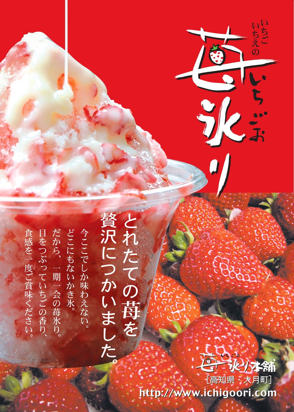 【愛媛・松山】P・SPO、松山土曜夜市に今年も出店　かき氷「苺氷り」販売＆古着POPUP開催