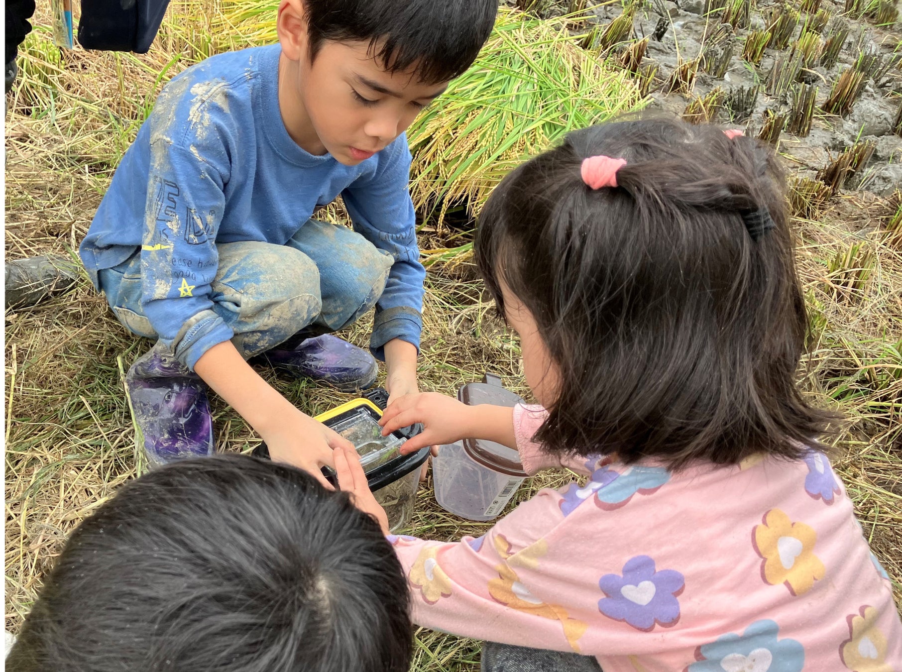 プレナス米文化継承活動　親子で学ぶ「田んぼの生きもの調査」開催　ー田んぼの生きもの観察から「食」「農」「生物多様性」を学ぶー