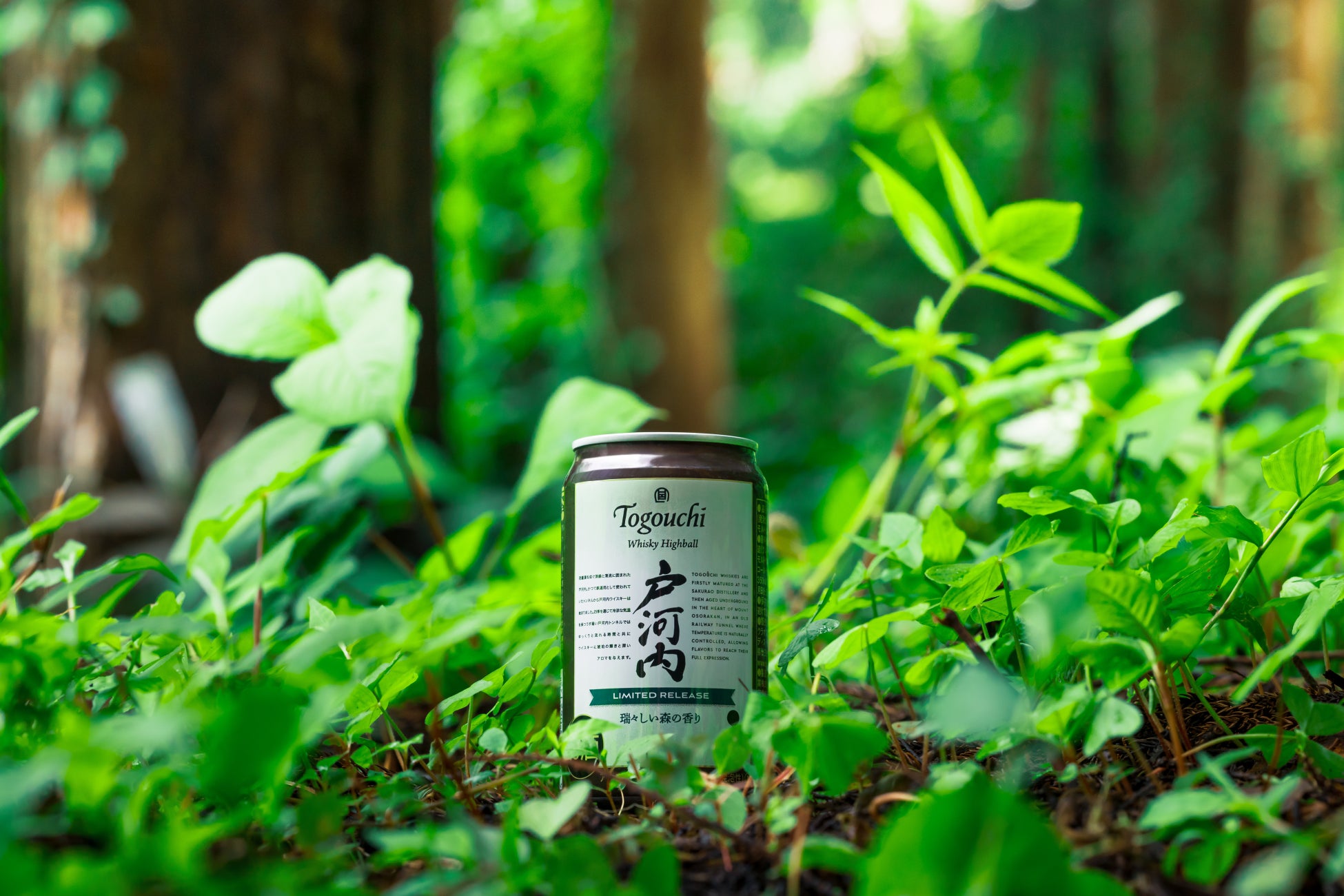 変わりゆく気候に対処した東洋医学の「新常識」を伝授!『NHK明日から使えるMOOK 木村容子&ワタナベマキの“新”東洋医学 季節の変わり目いたわり薬膳』が6月15日発売