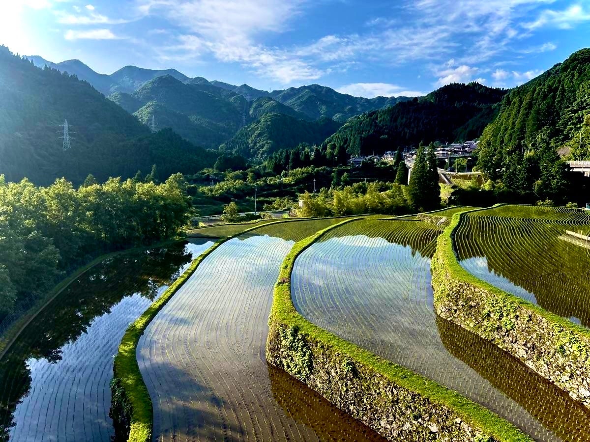 菊池川流域の米づくりを歴史文化・自然環境・食味から科学的に評価する共同研究を開始