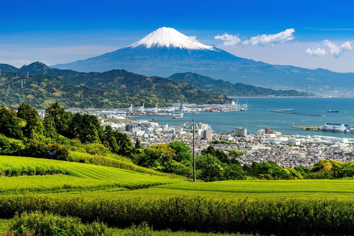 静岡県台湾事務所が「FOOD TAIPEI 2026」に出展
