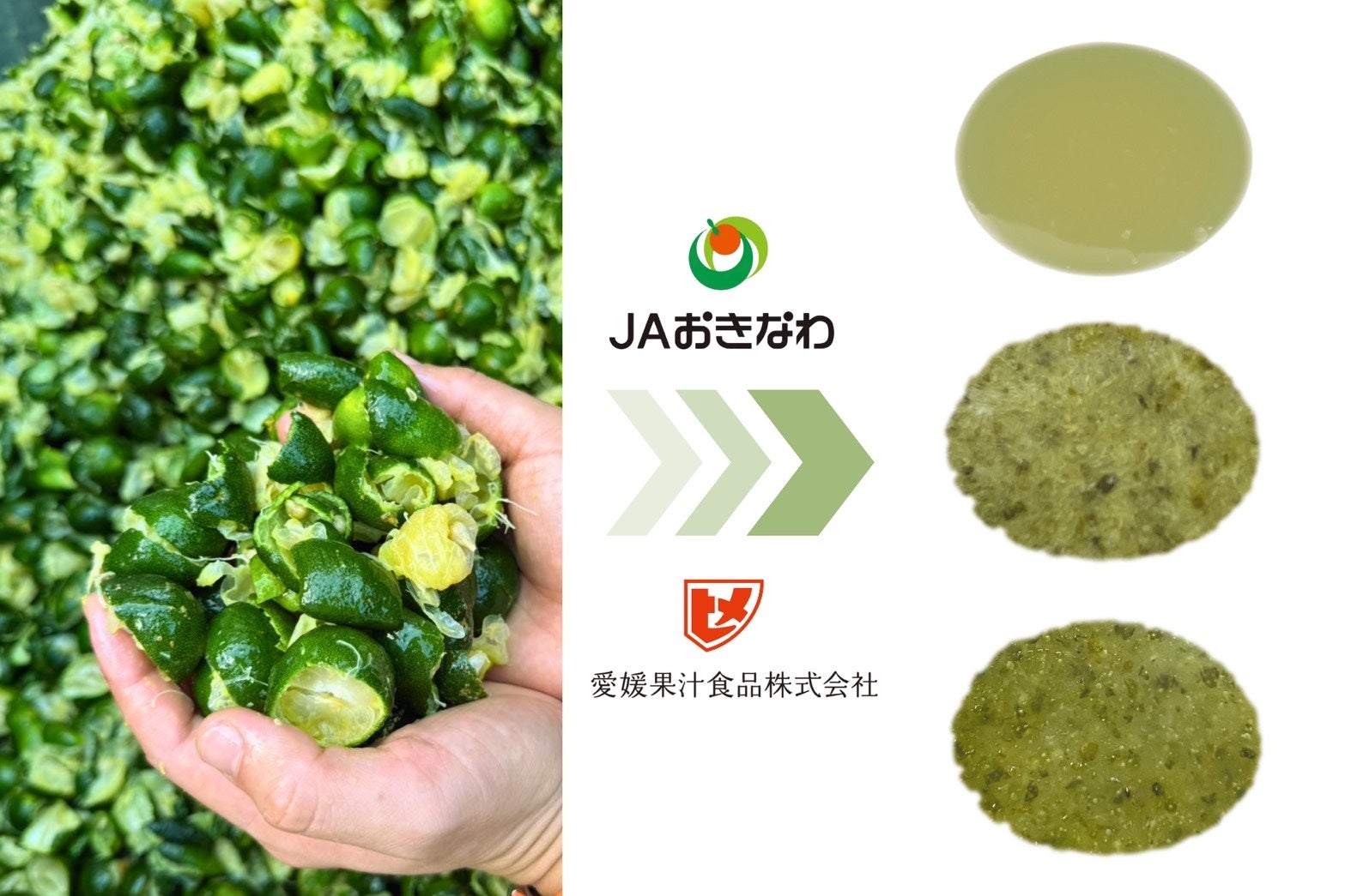 【沖縄×愛媛】廃棄されていたシークヮーサー果皮を新素材へ！「愛媛果汁食品」が“苦味抑制と香り保持”を実現し、沖縄農産物の新たな価値を創出。沖縄らしい菓子・土産の可能性を拡大！