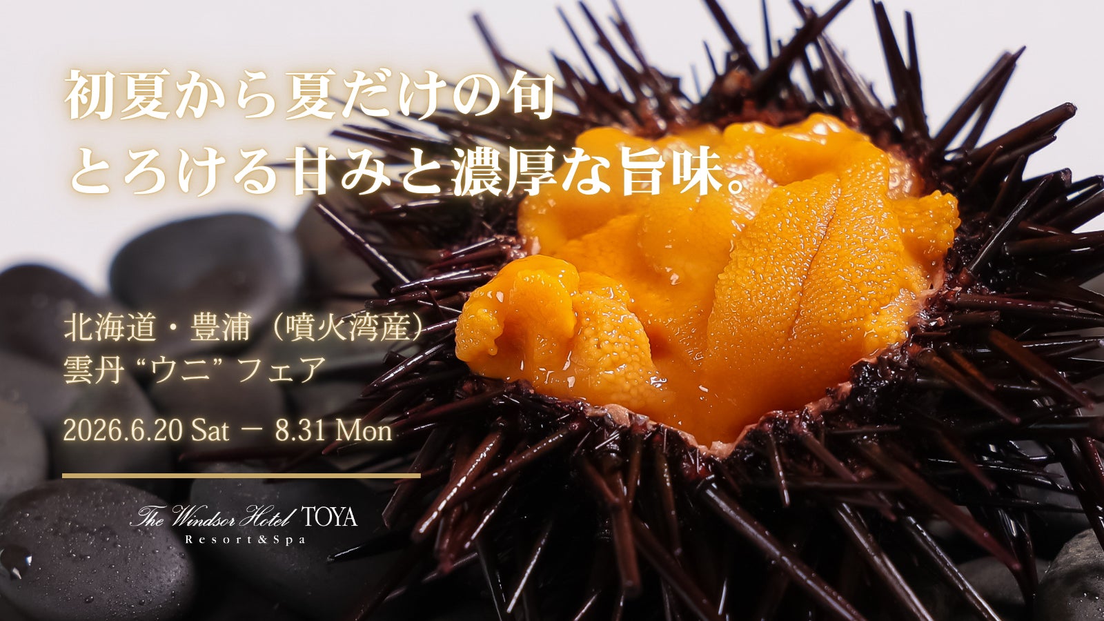 北海道・内浦湾（噴火湾）豊浦産「キタムラサキウニ」【噴火湾産 雲丹 “ウニ” フェア】を開催　～ 初夏から夏に旬を迎える、とろける甘みの希少な味覚を堪能 ～