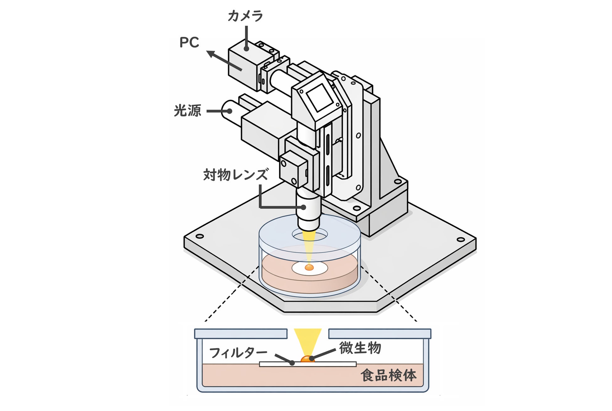 6月22日はDHAの日! Umiosとの初コラボキャンペーンをXで実施
