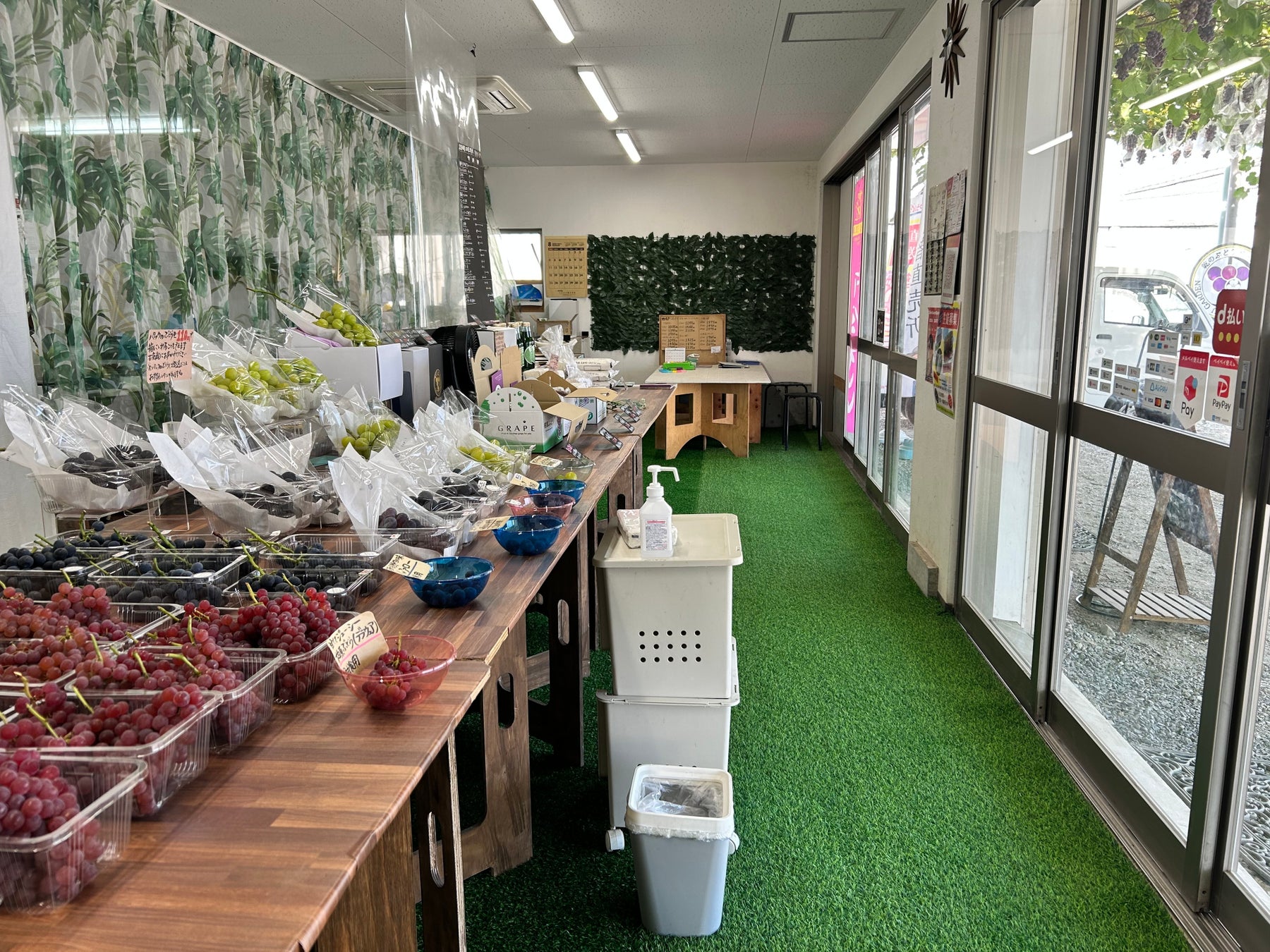 【大阪・柏原】「試食しないと買えない」ぶどう直売所、2026年7月3日より本格開始