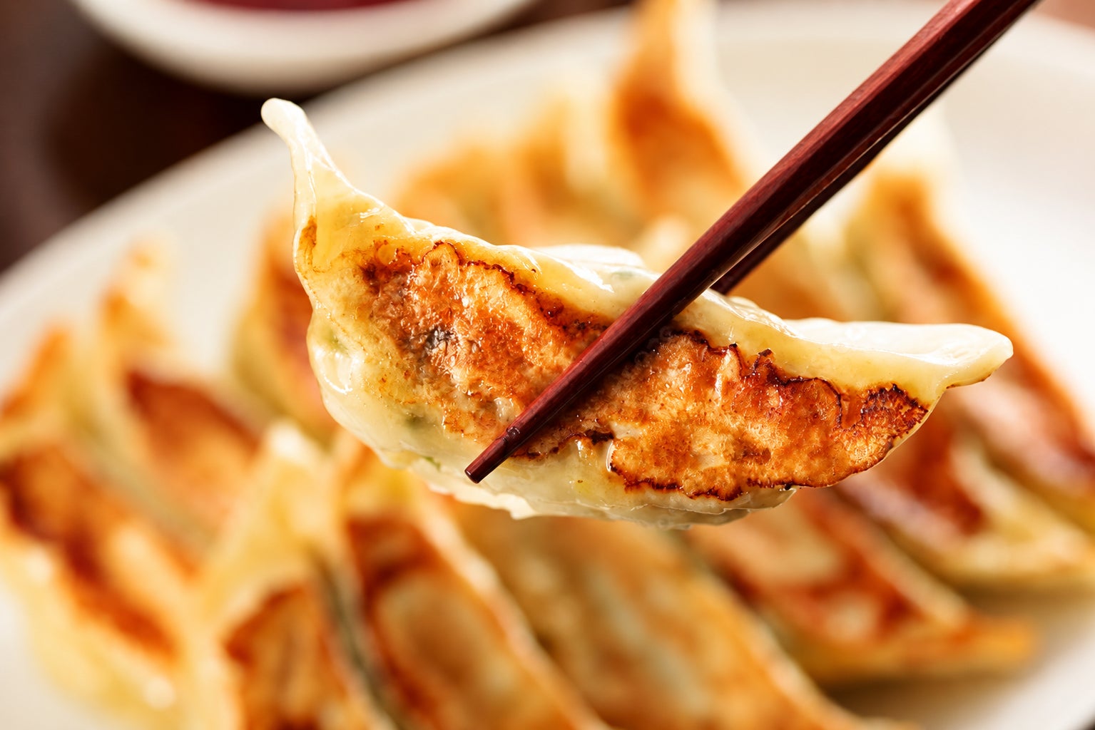 いばらき特産マーケット＆全国餃子まつり来週末開催！