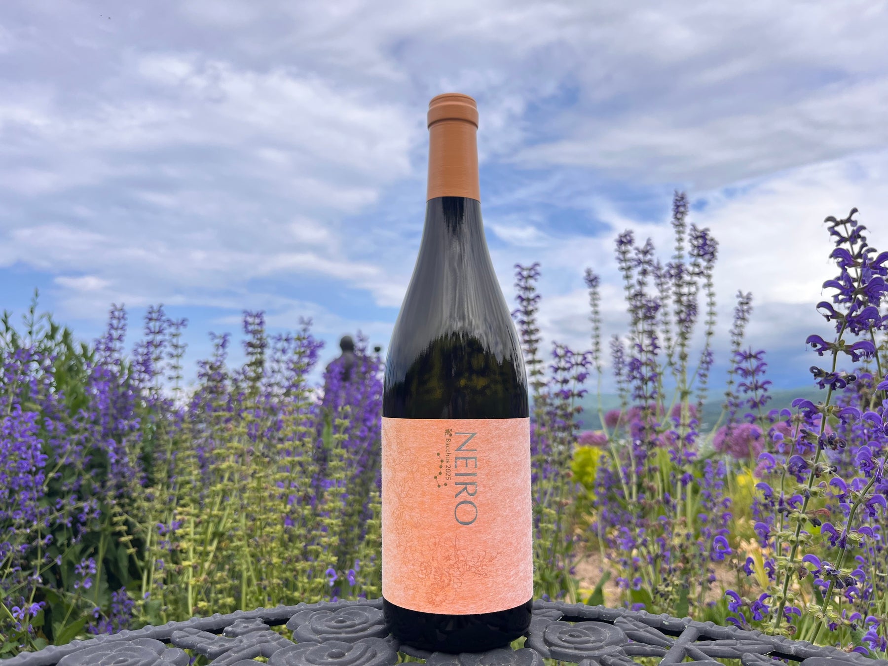 NIKI Hills Winery、最新ヴィンテージワインを7/1にリリース
