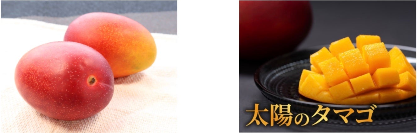 【旬のおすすめグルメ】初夏の「海の幸＆山の幸」はやっぱりこれ！定番フルーツや意外な食材も？