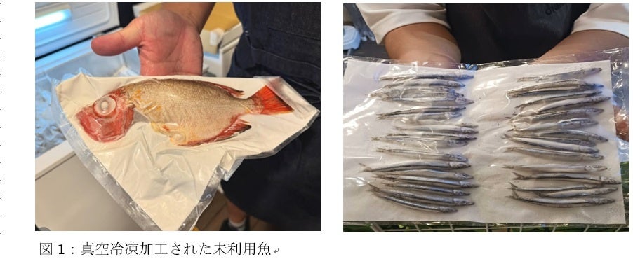 【京都高島屋S.C.［T8］】旬の京野菜を味わい尽くす8日間　GI登録「京賀茂なす」などを使用した特別メニューが15店舗で登場「旬を味わう　京野菜フェア」開催（2026年7月3日〜10日）