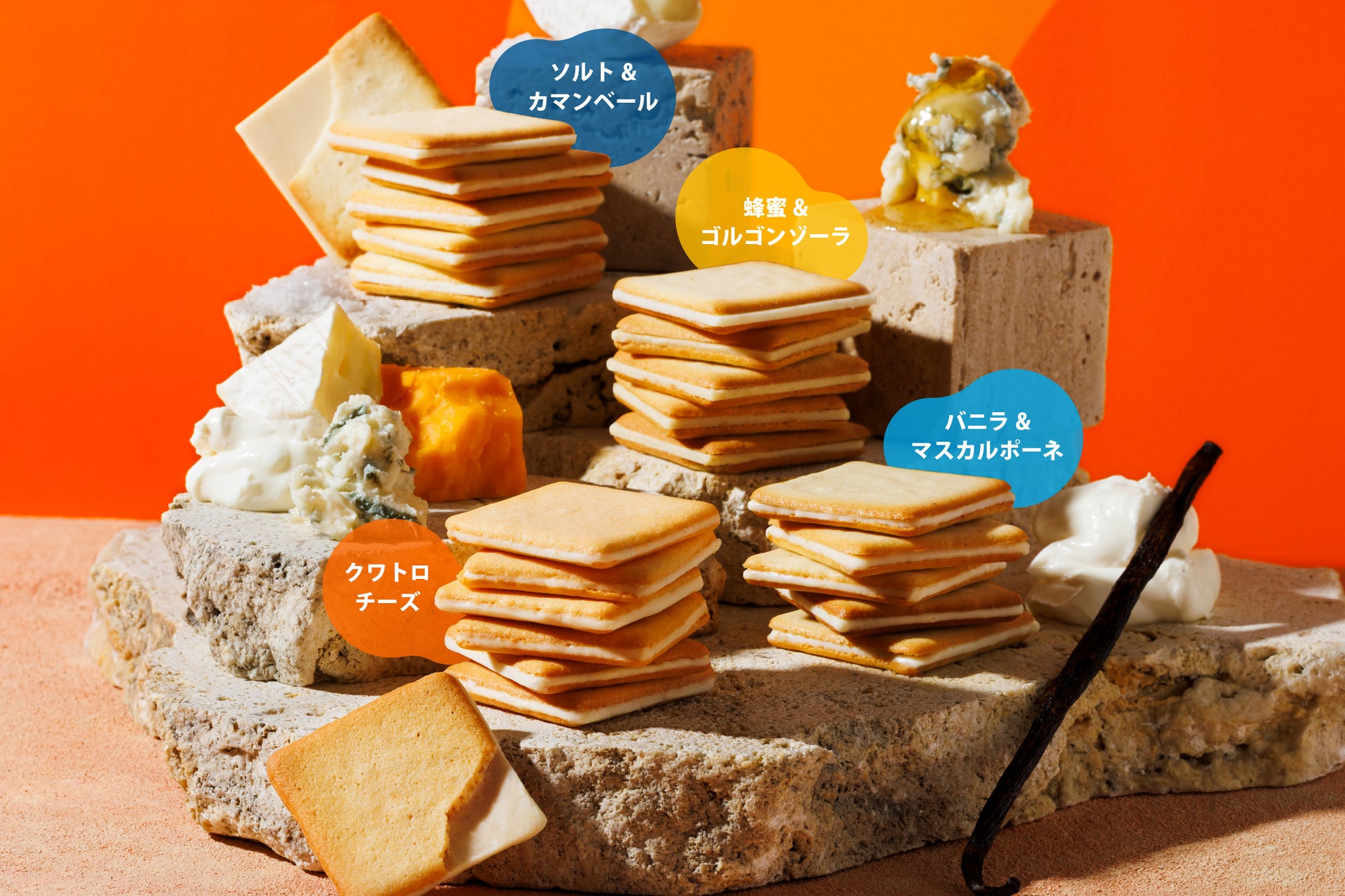 ブランド誕生15周年【東京ミルクチーズ工場】は、4種のクッキーが味わえる、クッキー詰合せ（36枚入）を、7月1日（水）より発売いたします。