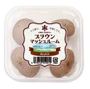 Minimal 代々木上原店、7周年の感謝を込めて、7種のガトーショコラを一度に楽しめる限定プレートや、本格チョコミントスイーツなど「4つの記念企画」を7月1日より開催！