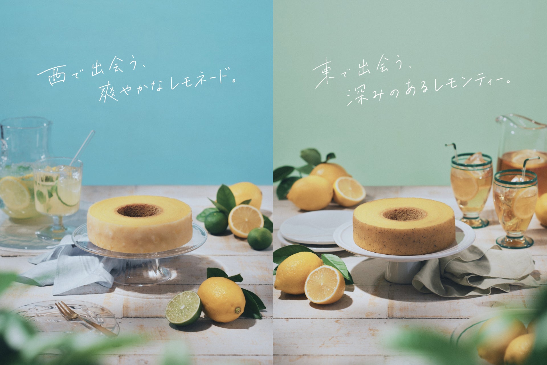 ＜野菜摂取推進プロジェクトの活動の一環＞ ANAグループ社員が、カゴメの生鮮トマト栽培拠点「響灘菜園」（福岡県北九州市）を見学